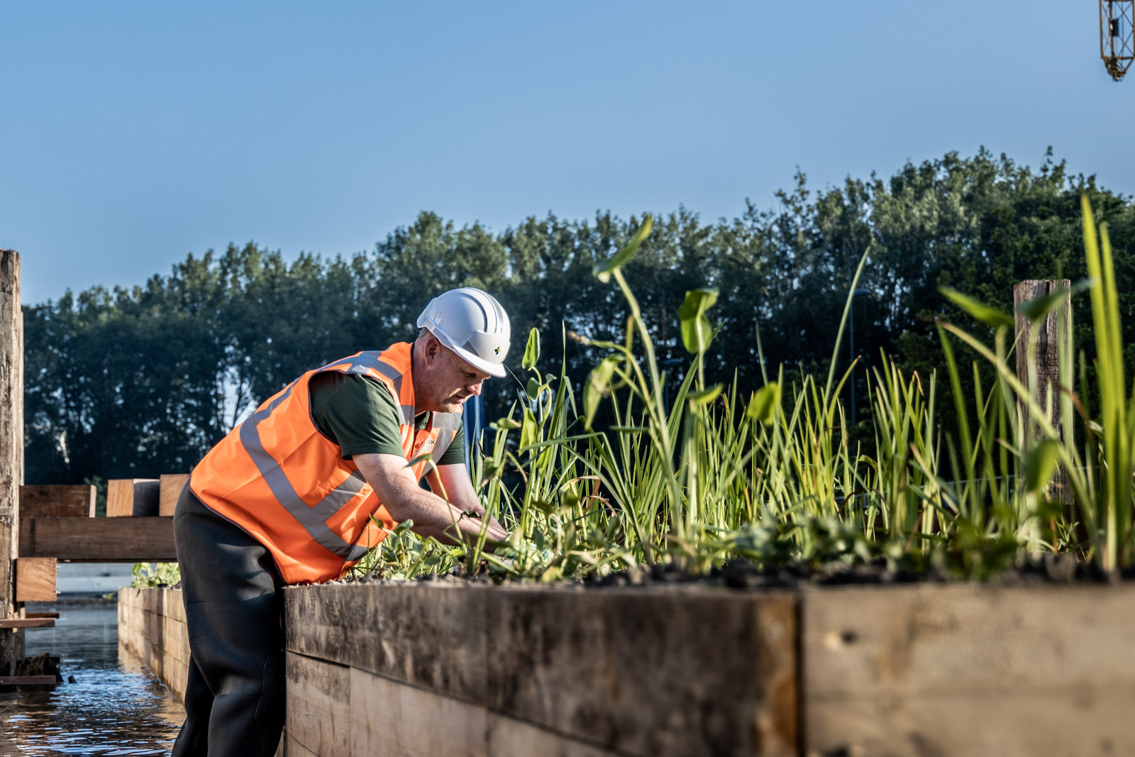 20210709 Bunnik 14 Low Res