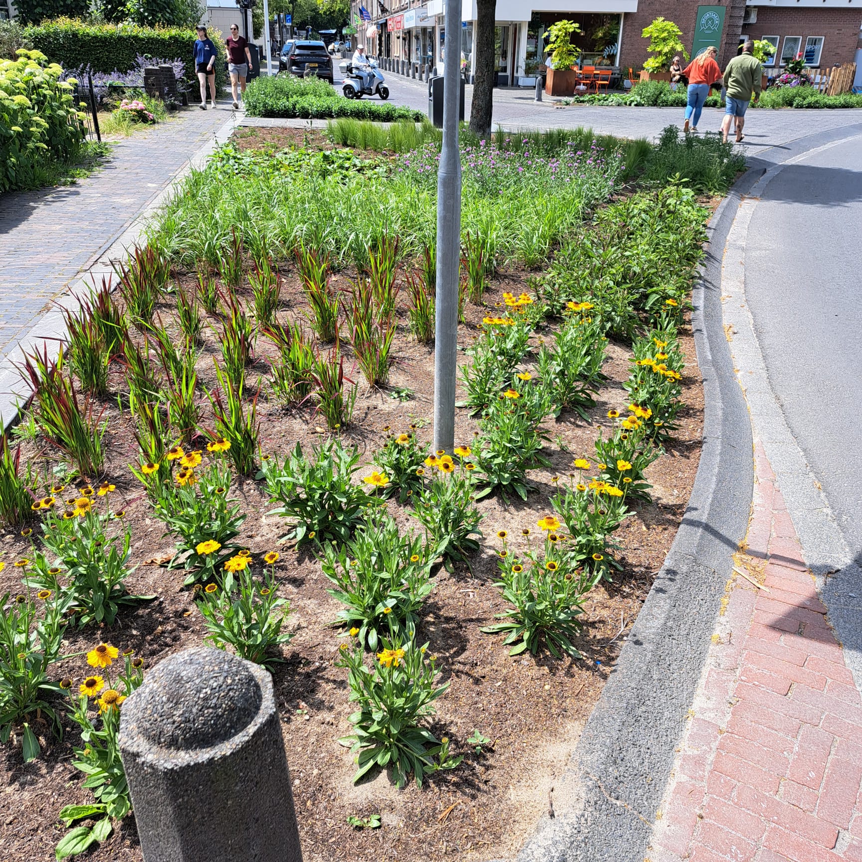 Afbeelding Van Whatsapp Op 2025 06 15 Om 16.56.31 B8320dbc